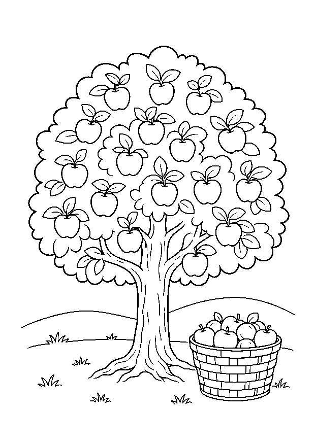 Apfelernte im Obstgarten: Ein voller Apfelbaum steht neben einem Korb mit reifen Früchten.