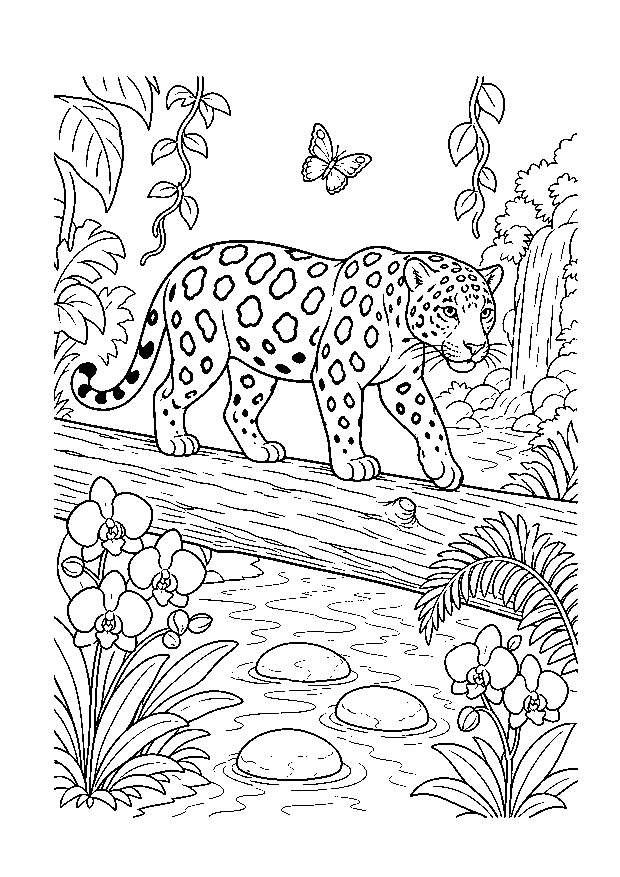 Jaguar auf dem Dschungelstamm: Ein Jaguar balanciert über einen gefallenen Baumstamm am Bach zwischen Orchideen, Farnen und Schmetterling.