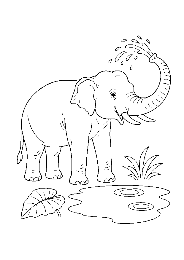Elefant am Wasserloch: Ein Asiatischer Elefant spritzt mit seinem Rüssel Wasser neben einem kleinen Dschungelteich.