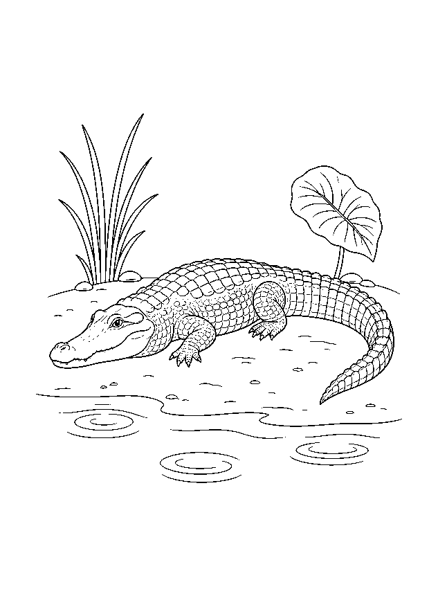 Krokodil am Flussufer: Ein Krokodil ruht zwischen Wasserkringeln und Uferpflanzen an einem Dschungelfluss.