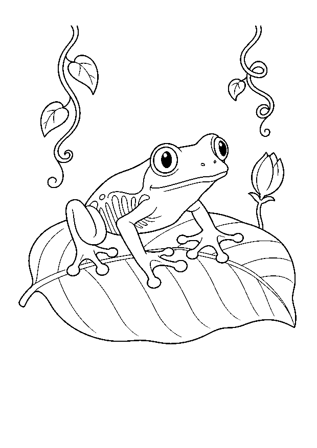 Baumfrosch auf einem Blatt: Ein Baumfrosch sitzt mit weit gespreizten Zehen auf einem großen Tropenblatt.