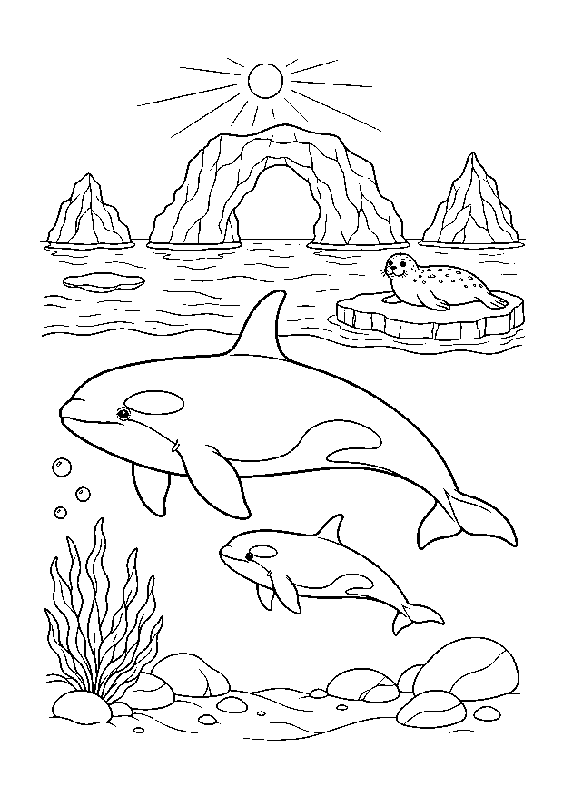 Orcafamilie am Eisbogentor: Ein Orca und sein Kalb schwimmen unter Robbe, Eisscholle und großem Felsbogen.