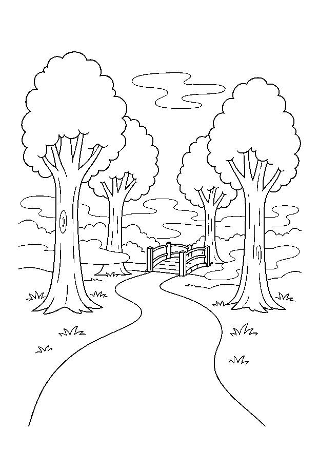 Nebeliger Waldweg Ausmalbild: Ein Weg führt im Morgennebel zwischen Bäumen zu einer Brücke.